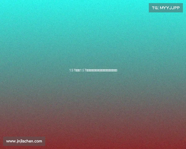 1.5T朗逸和1.5T宝来选哪款更有性价比,哪个更适合老百姓?